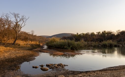 Farm Ranch in Vaalwater, Limpopo, South Africa 1