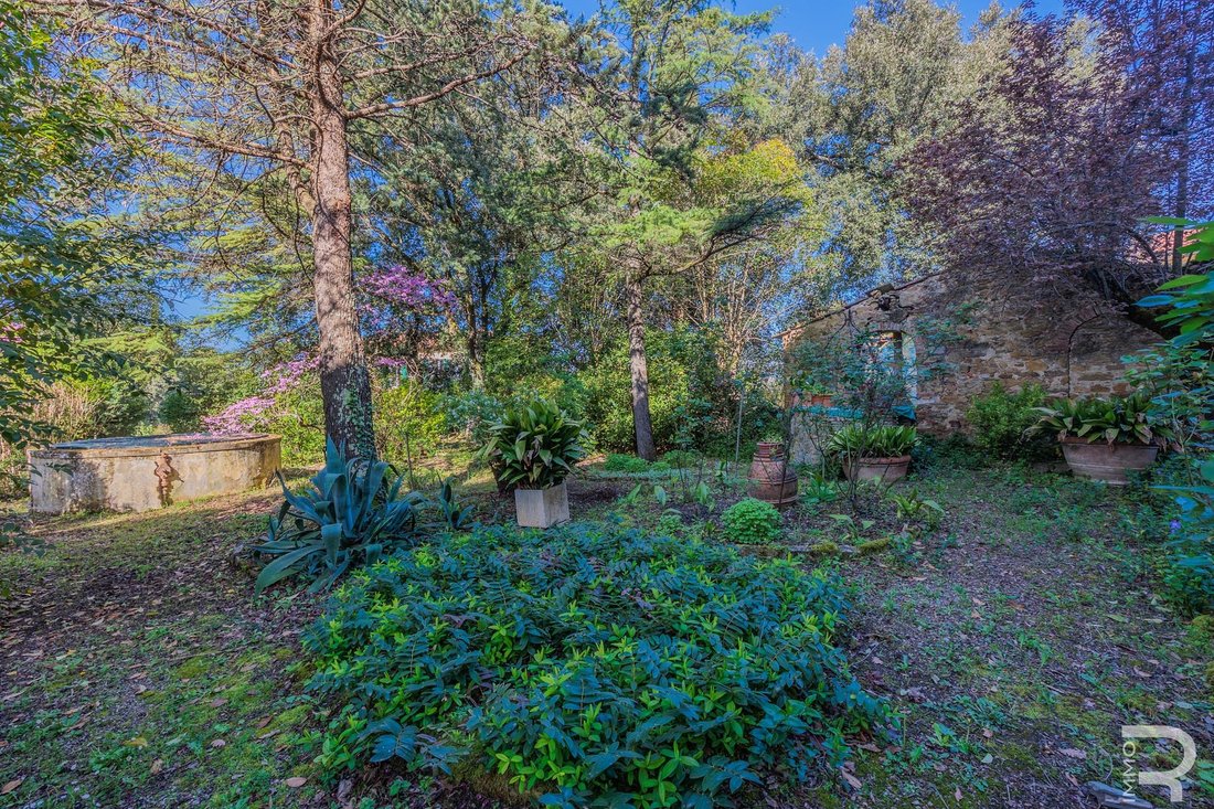 Villa in Center, Arezzo, Tuscany 5 - 18539068