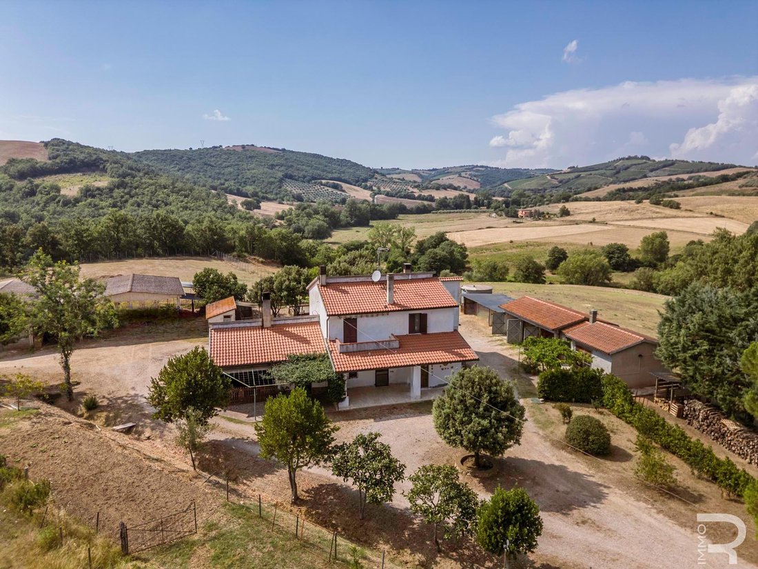 Farm Ranch in Cinigiano, Tuscany, Italy 2 - 18539073