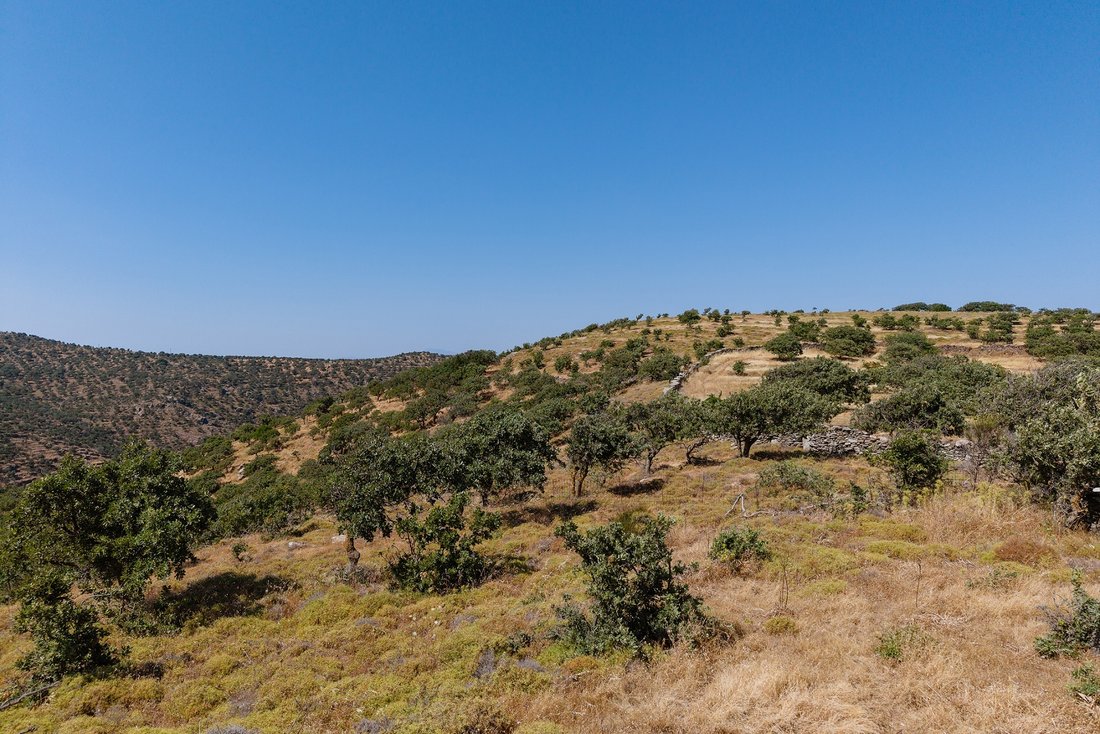 Terreno a Kea, Aegean, Grecia 5 - 18539074