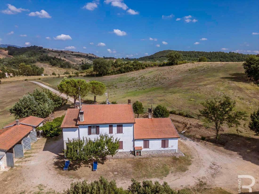 Farm Ranch in Cinigiano, Tuscany, Italy 5 - 18539073