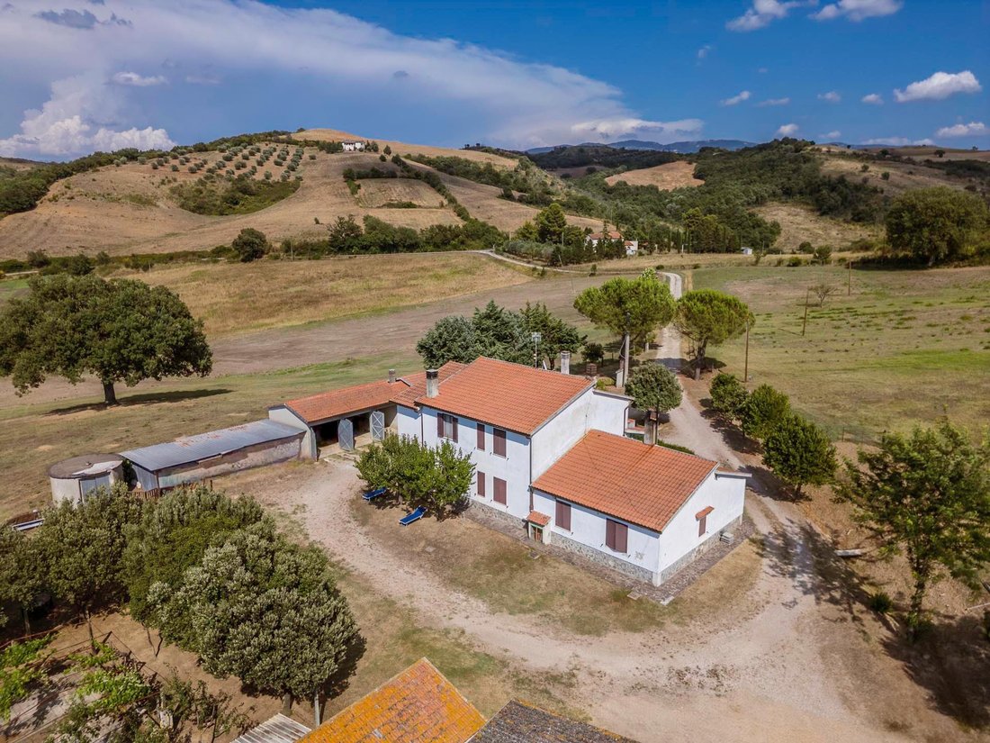 Farm Ranch in Cinigiano, Tuscany, Italy 4 - 18539073