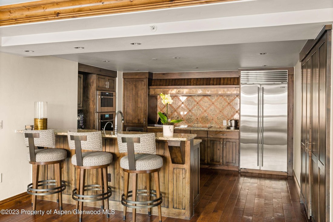 Condo in Aspen, Colorado, United States 5 - 18539334