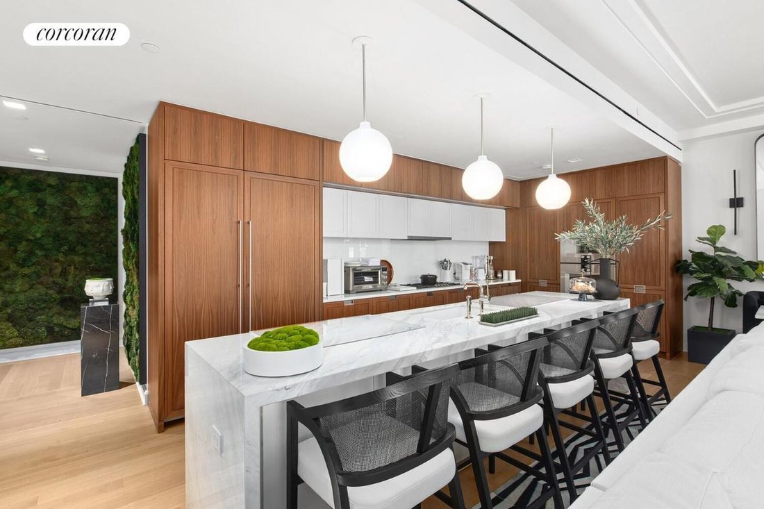 Condo in New York, New York, United States 1 - 18350666