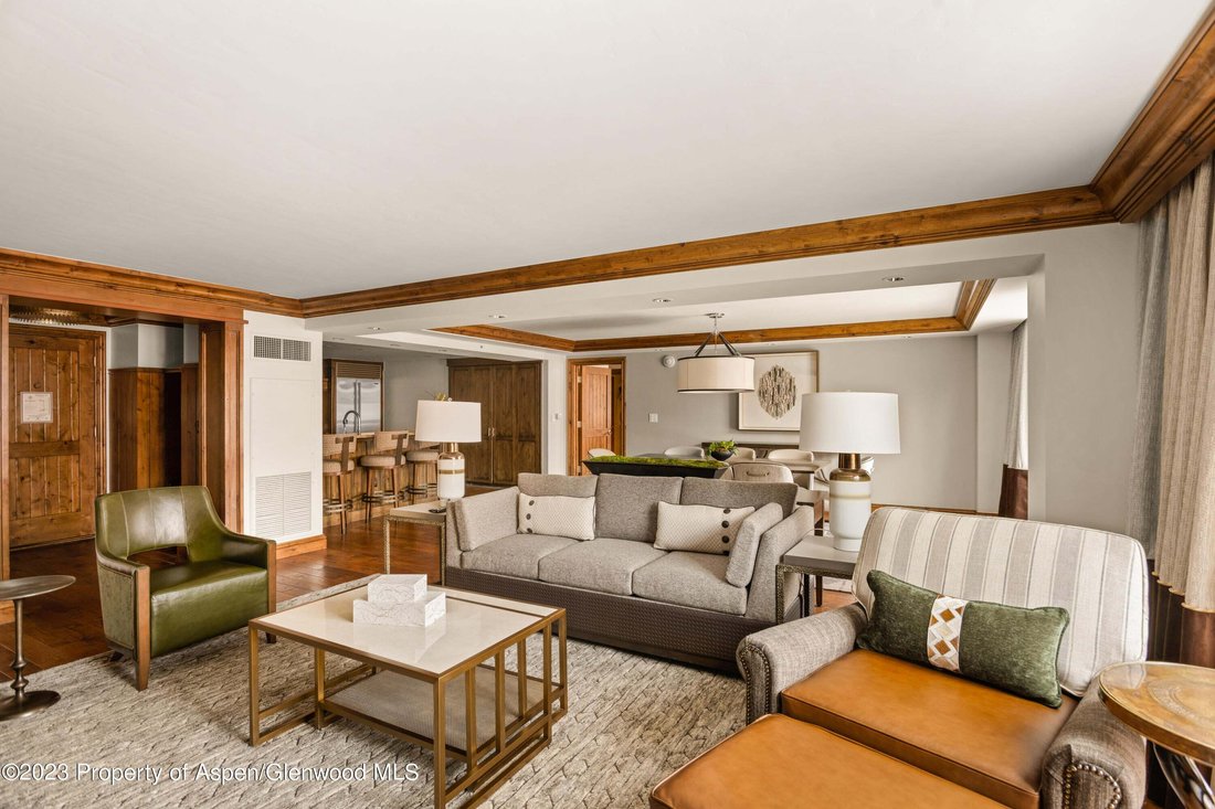 Condo in Aspen, Colorado, United States 4 - 18539334