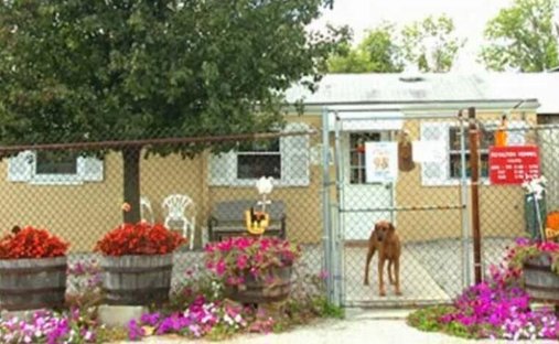 Maison à Watterson Park, Kentucky, États-Unis 1