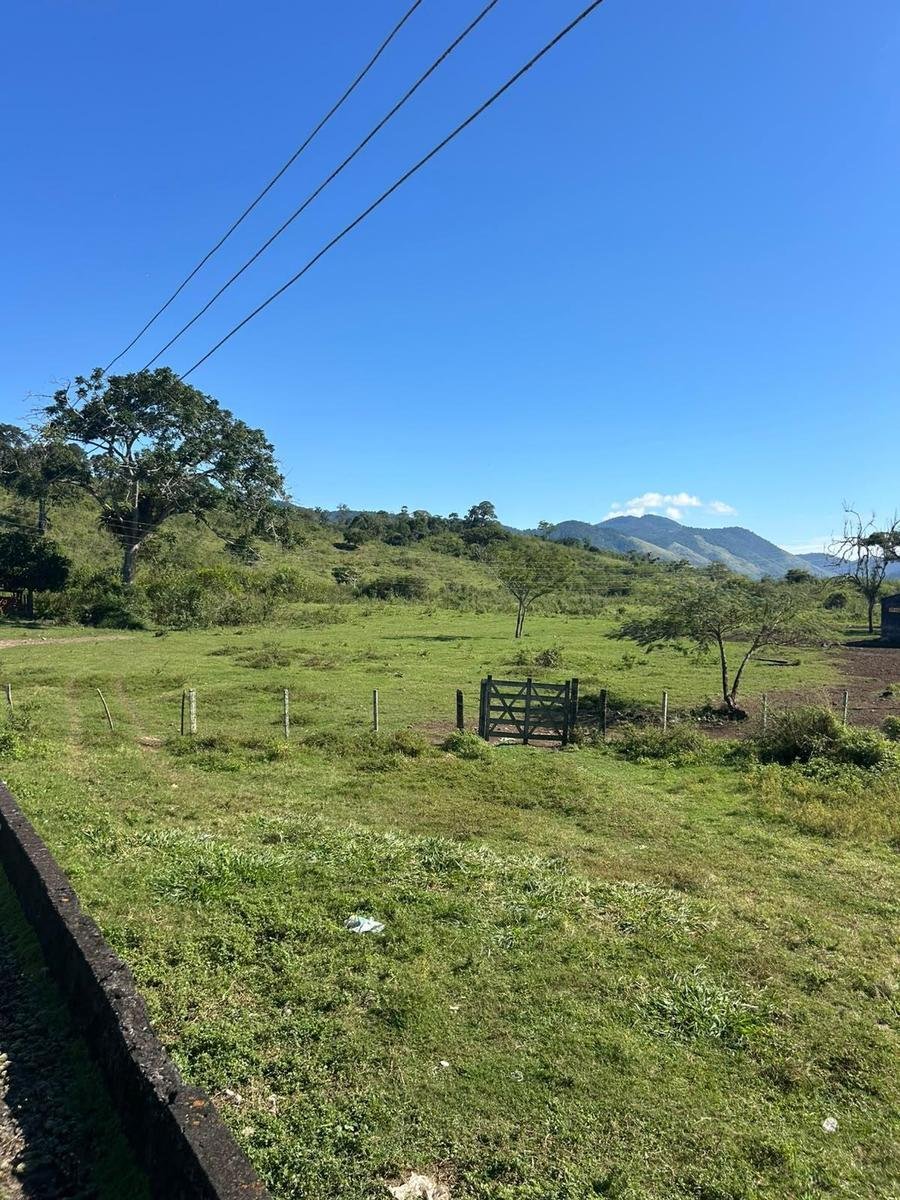 Estate in Centro, State of Bahia, Brazil 5 - 18539209