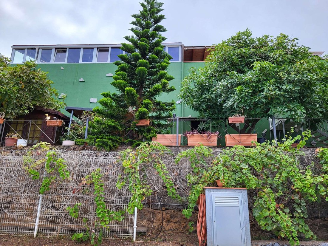 House in La Victoria de Acentejo, Canary Islands, Spain 2 - 18539443