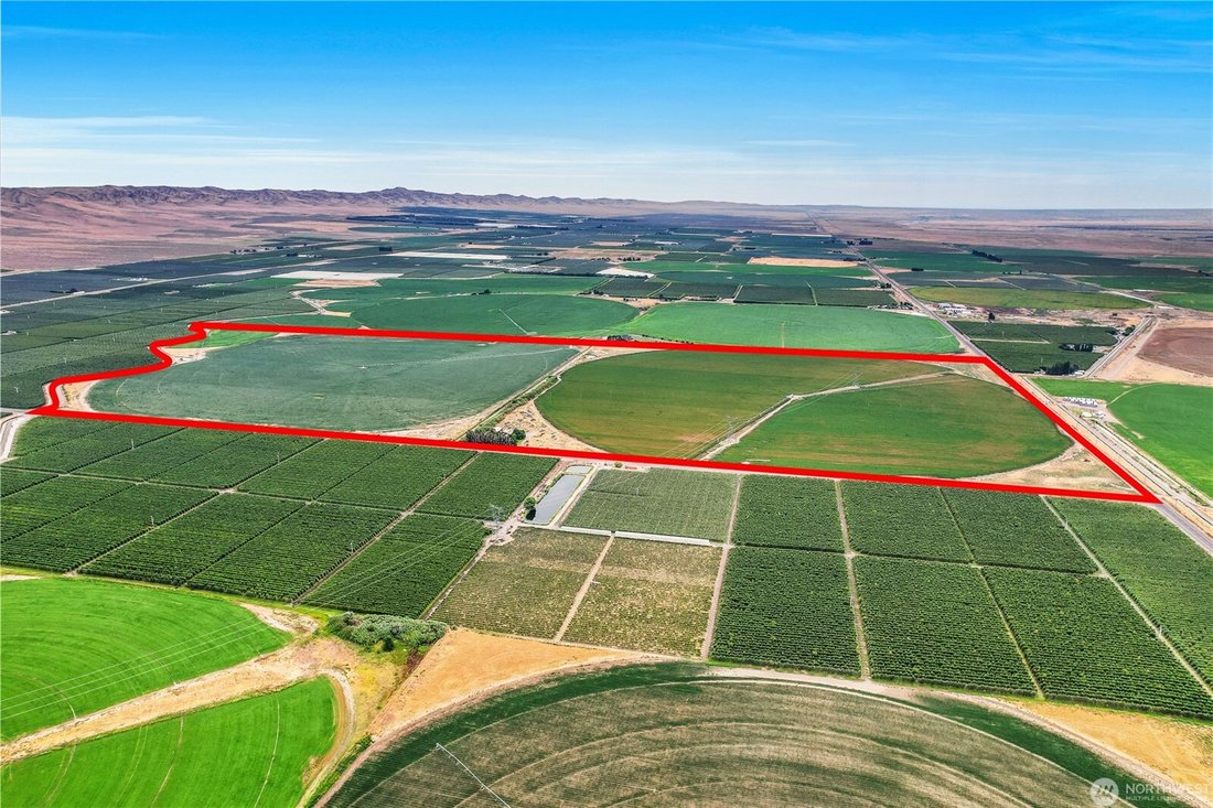Farm Ranch in Mattawa, Washington, United States 2 - 18543709