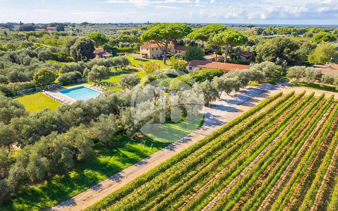 Estate in Castagneto Carducci, Tuscany, Italy 1 - 18541184