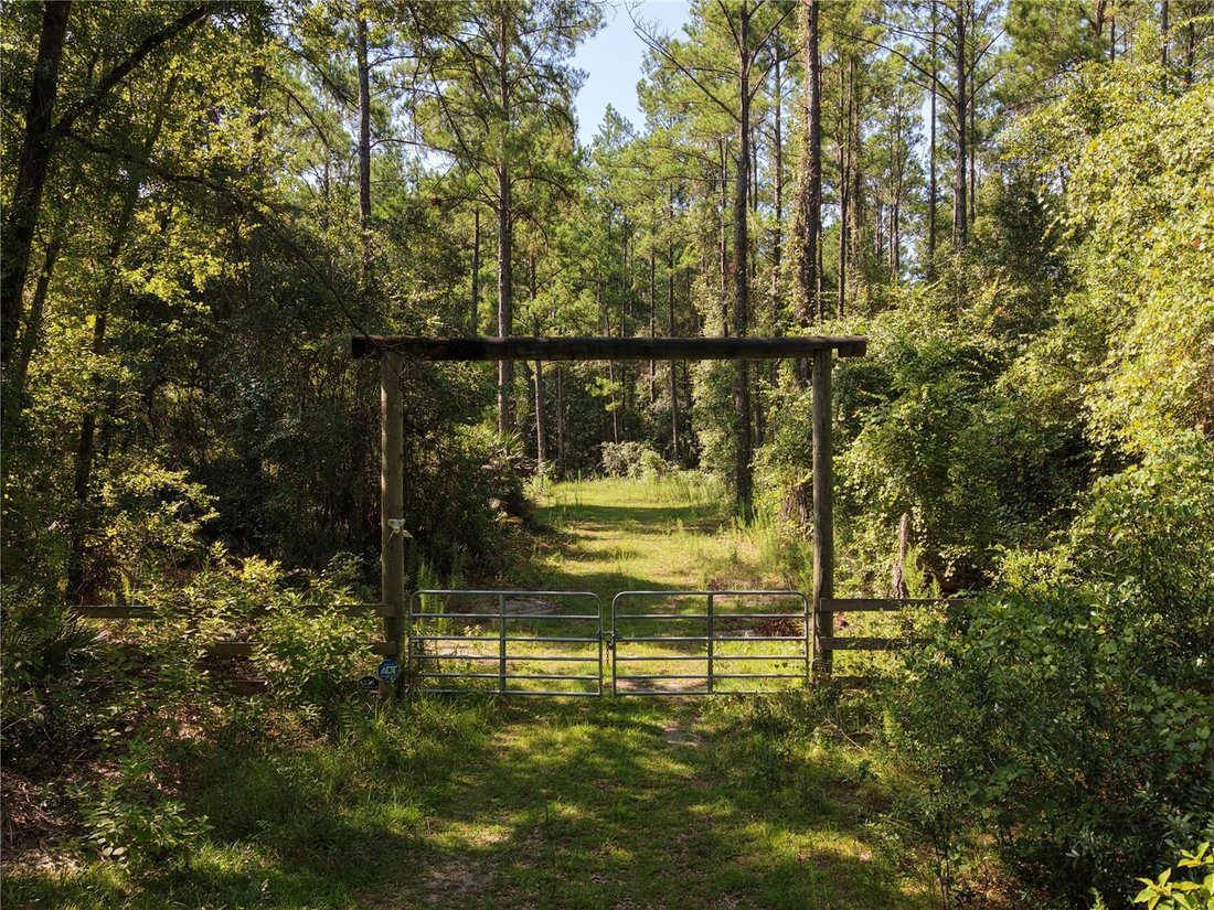 Palatka, Florida, United States 2 - 18542568