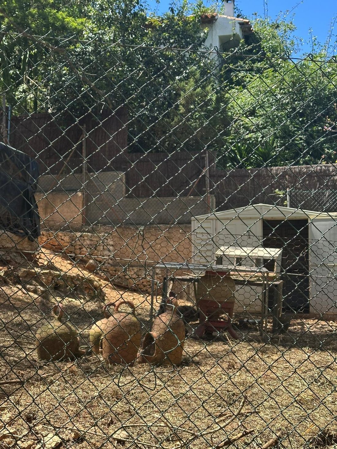 Finca in Santa Eularia des Riu, Balearic Islands, Spain 3 - 18542423