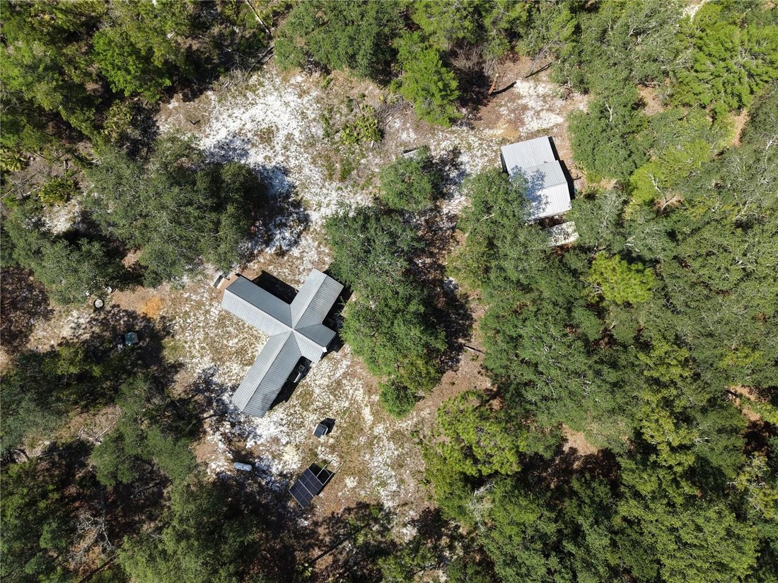 Palatka, Florida, United States 4 - 18542568