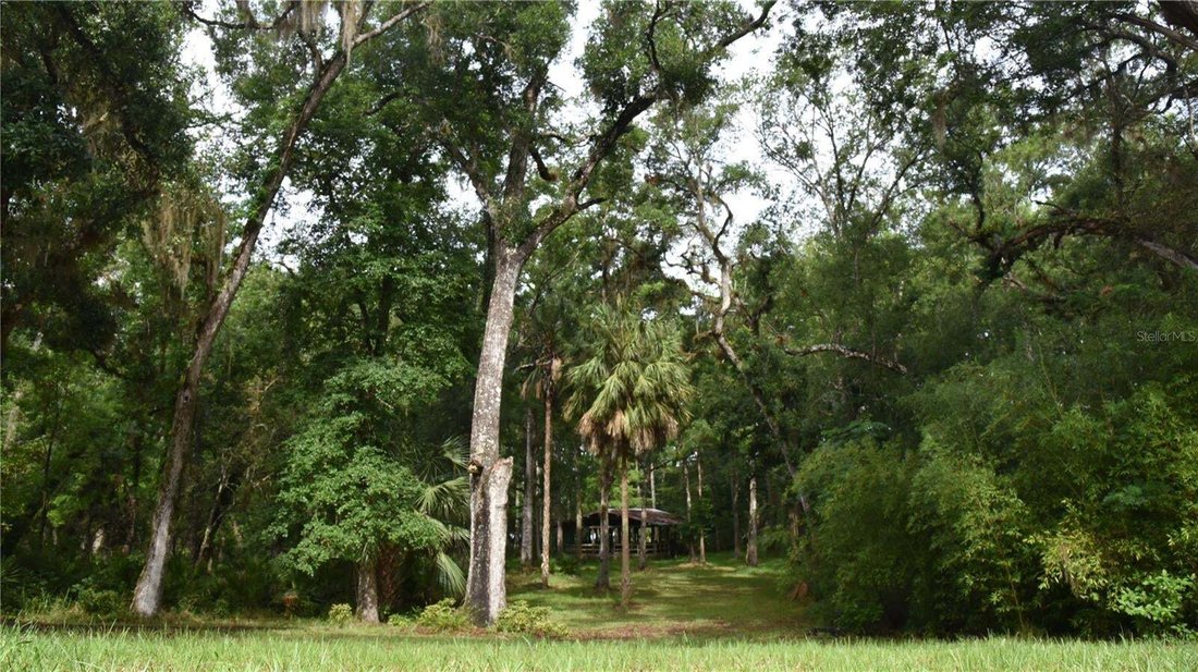 House in Chiefland, Florida, United States 4 - 18542547