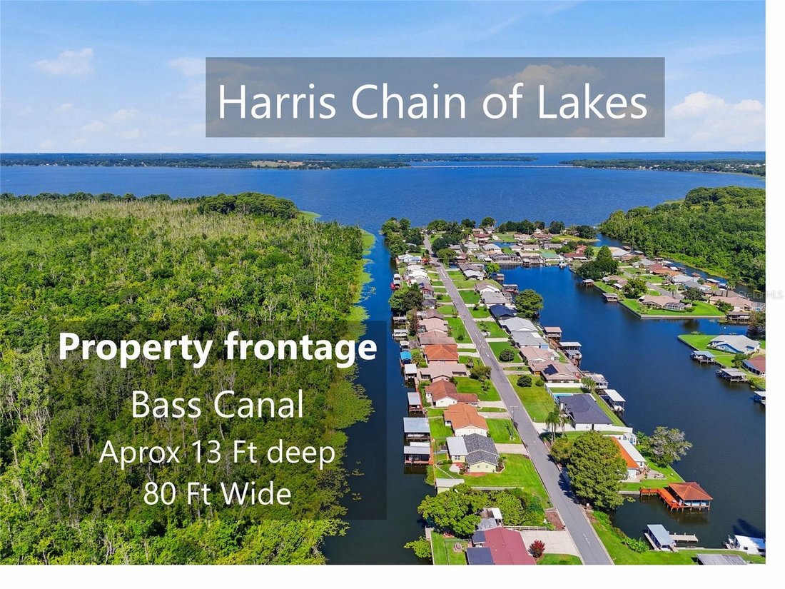 House in Tavares, Florida, United States 1 - 18542624