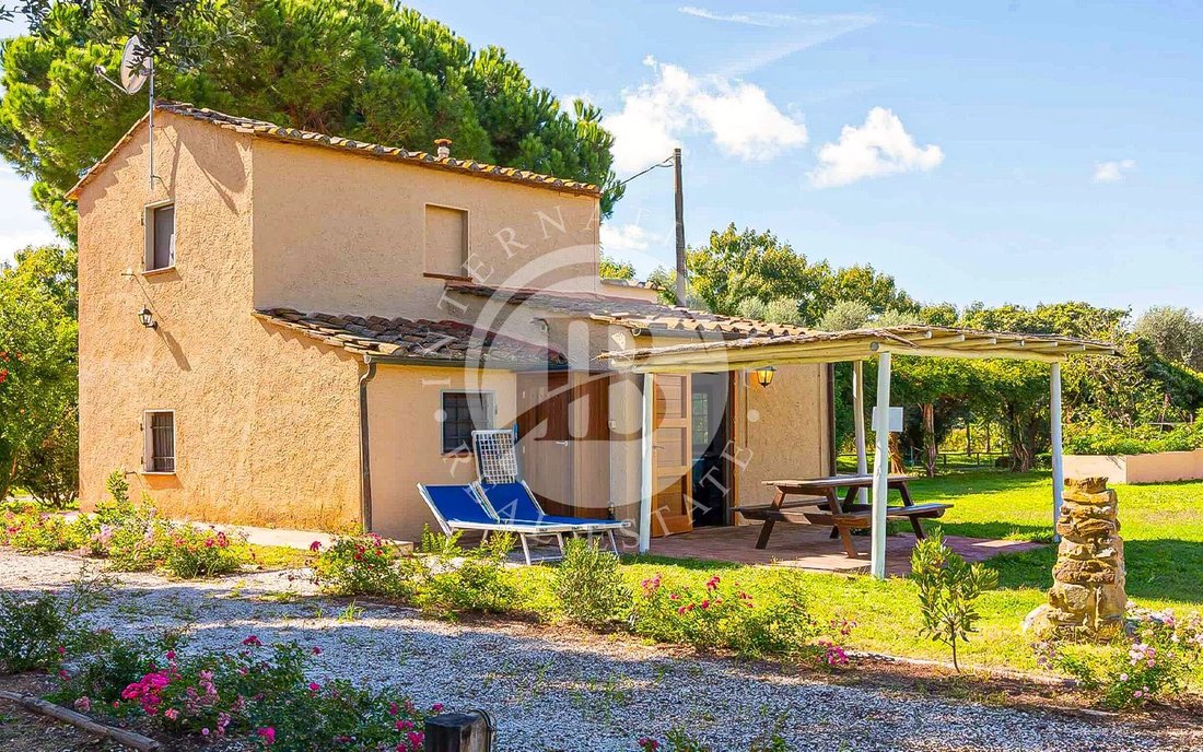 Estate in Castagneto Carducci, Tuscany, Italy 4 - 18541184