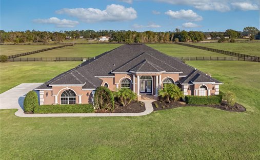 House in Tavares, Florida, United States 1