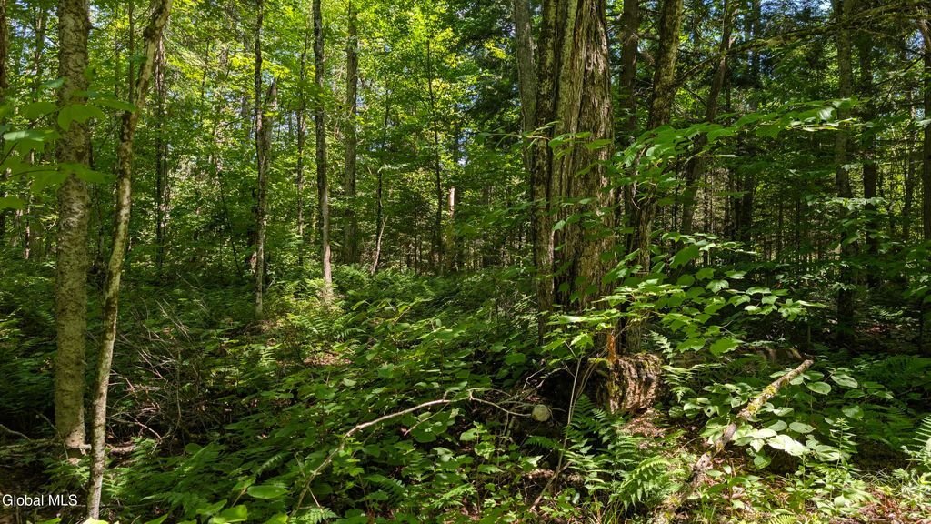 Land in Malone, New York, United States 4 - 18544712