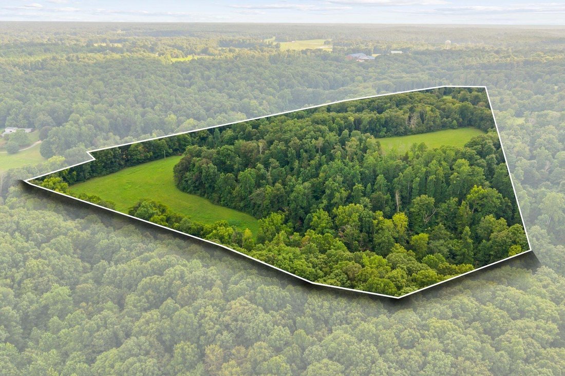 House in Vanleer, Tennessee, United States 2 - 18542965