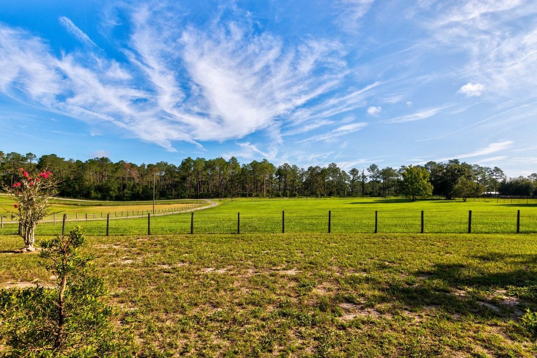 Farm Ranch in Sorrento, Florida, United States 4 - 18540284
