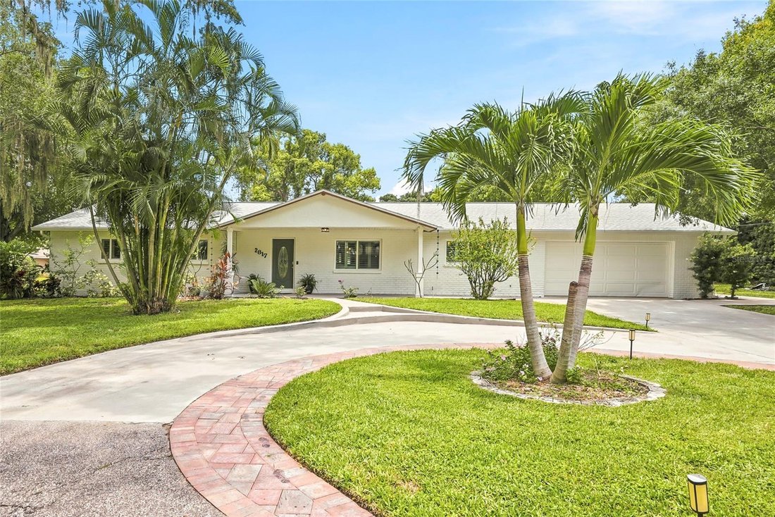 House in Palm Harbor, Florida, United States 1 - 17420649