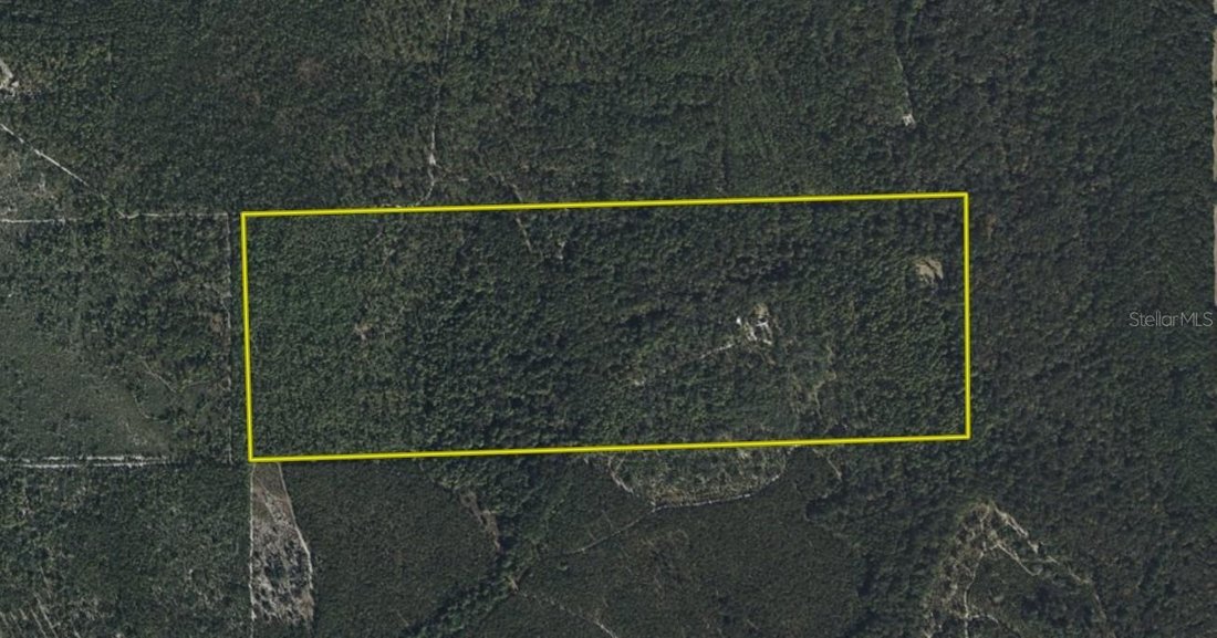 Palatka, Florida, United States 5 - 18542568