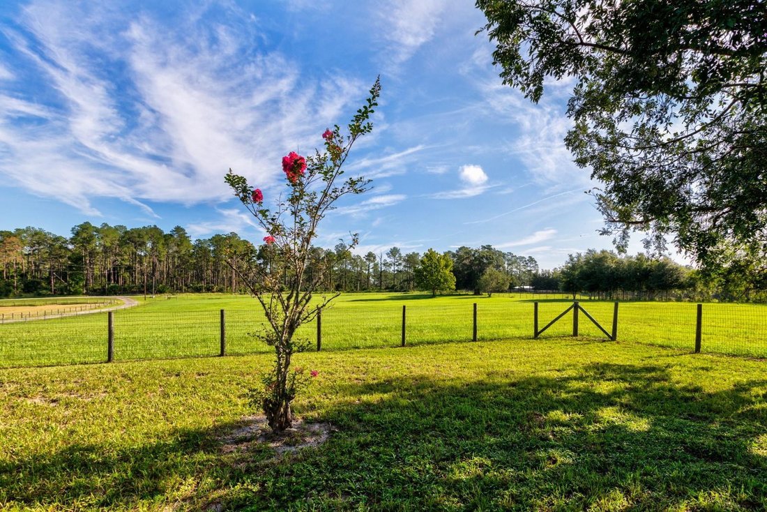 Farm Ranch in Sorrento, Florida, United States 5 - 18540284