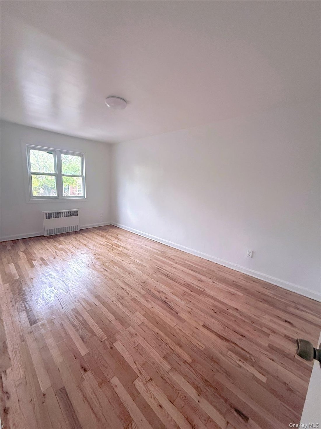House in New York, New York, United States 5 - 18540237