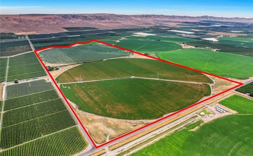 Azienda agricola a Mattawa, Washington, Stati Uniti 1