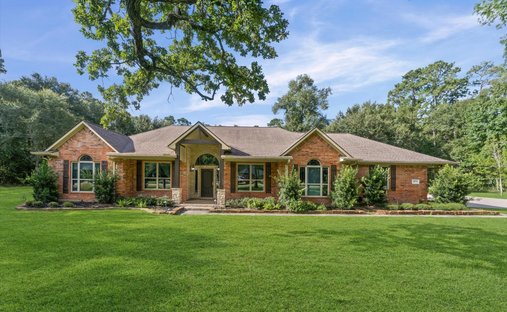 House in Magnolia, Texas, United States 1
