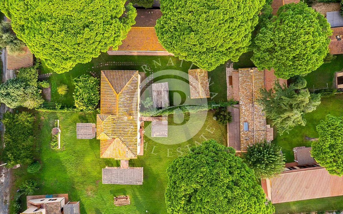 Estate in Castagneto Carducci, Tuscany, Italy 5 - 18541184
