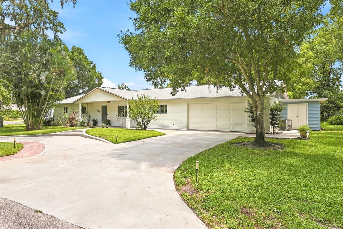 House in Palm Harbor, Florida, United States 5 - 17420649