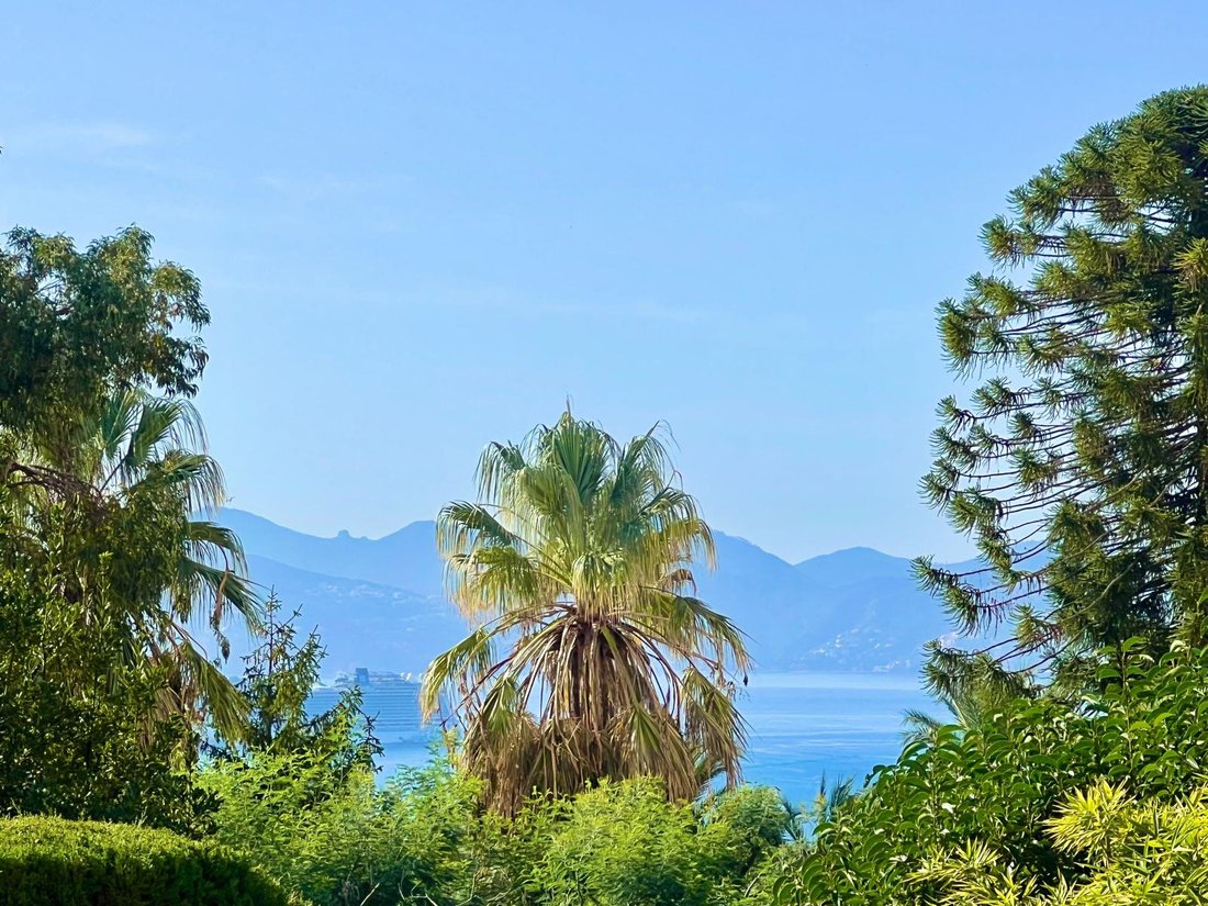 Villa in Cannes, Provence-Alpes-Côte d'Azur, France 4 - 18543756