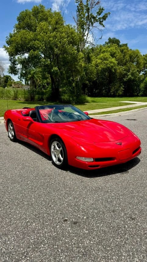 Cabriolet in Orlando, FL, United States 5 - 18541423