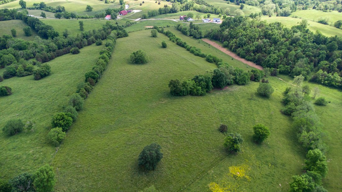 Farm Ranch in Cynthiana, Kentucky, United States 3 - 18539753