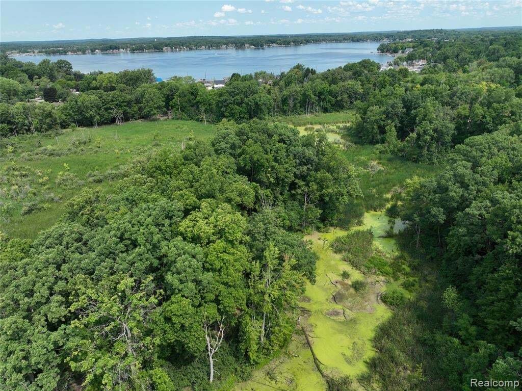 House in Whitmore Lake, Michigan, United States 4 - 18542480