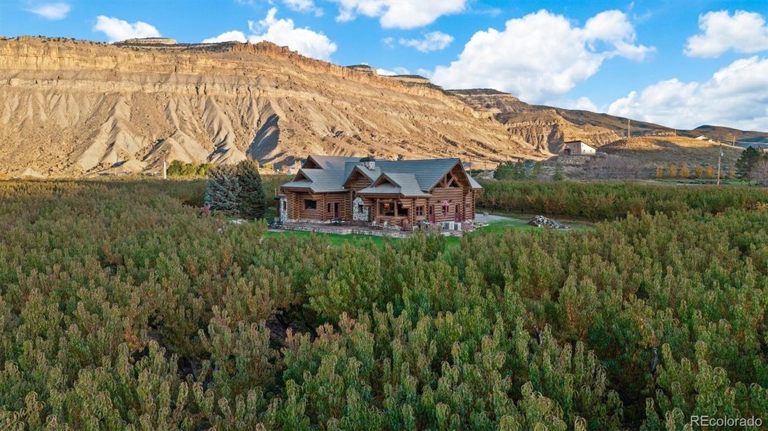 House in Palisade, Colorado, United States 2 - 18542299