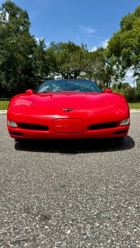 Cabriolet in Orlando, FL, United States 3 - 18541423