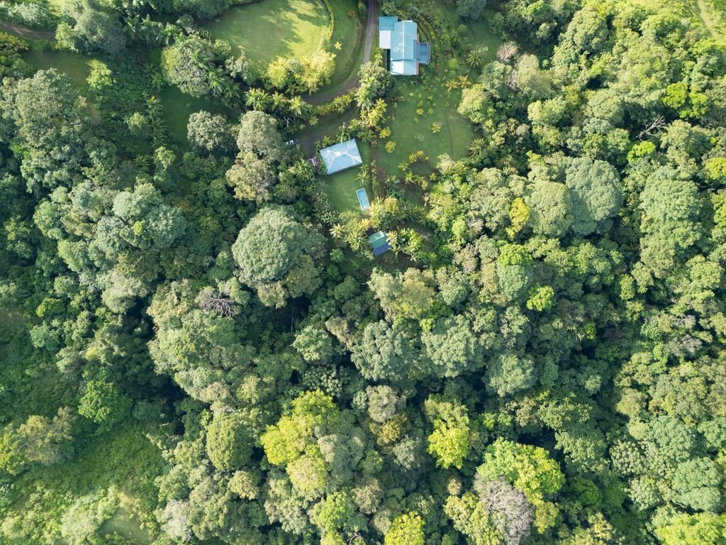 Finca in Punta Banco, Puntarenas Province, Costa Rica 3 - 18540985