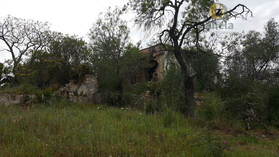 Land in Faro (Se e Sao Pedro), Algarve, Portugal 5 - 18543900