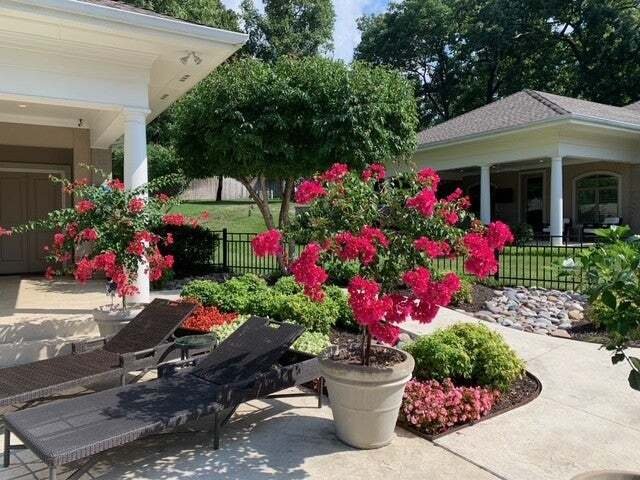 House in Fayetteville, Arkansas, United States 5 - 18540818