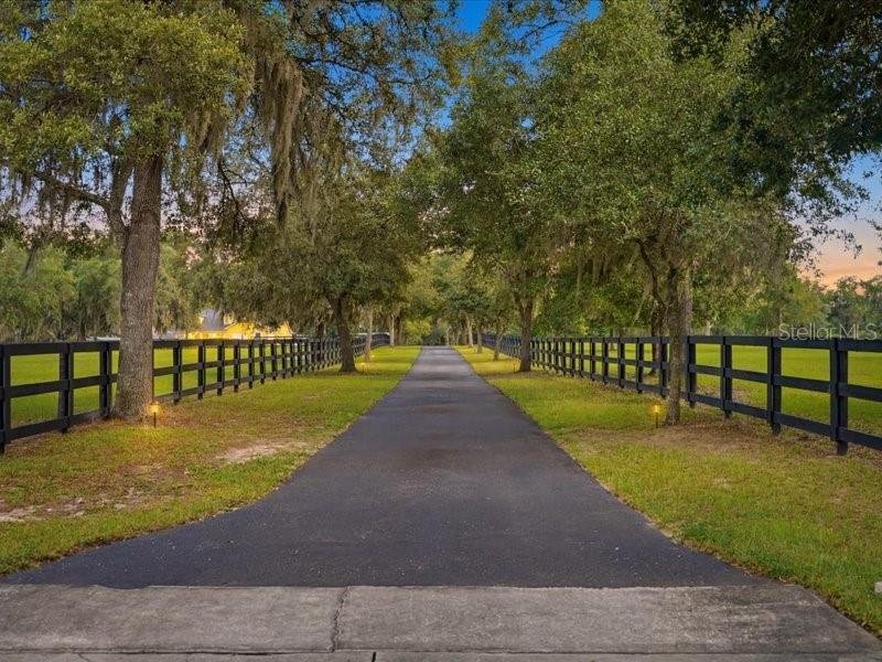 Farm Ranch in Dunnellon, Florida, United States 3 - 18540267