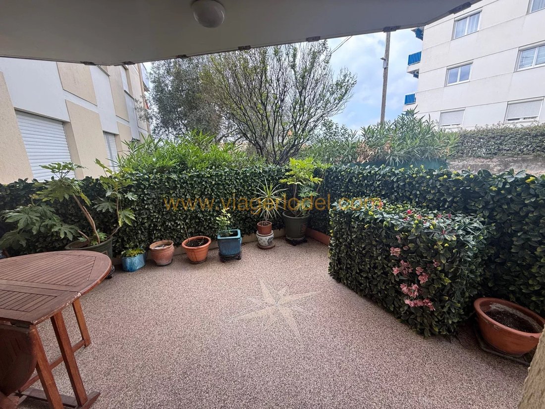 Apartment in Saint-Laurent-du-Var, Provence-Alpes-Côte d'Azur, France 4 - 18541018