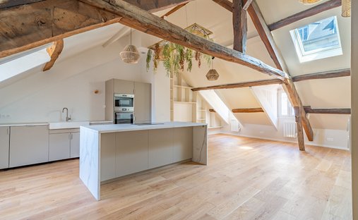Apartment in Violet Commerce, Paris 15e Arrondissement, Paris 1