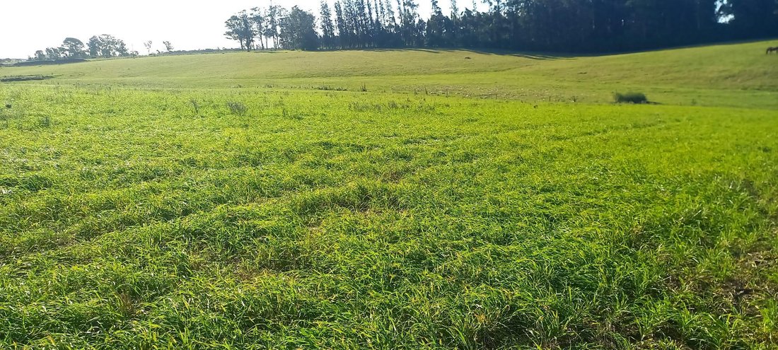 Farm Ranch in Rocha, Rocha Department, Uruguay 1 - 18543592