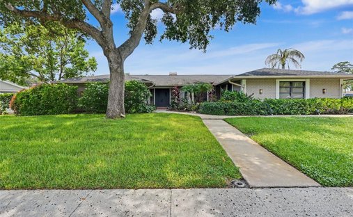 House in Oldsmar, Florida, United States 1
