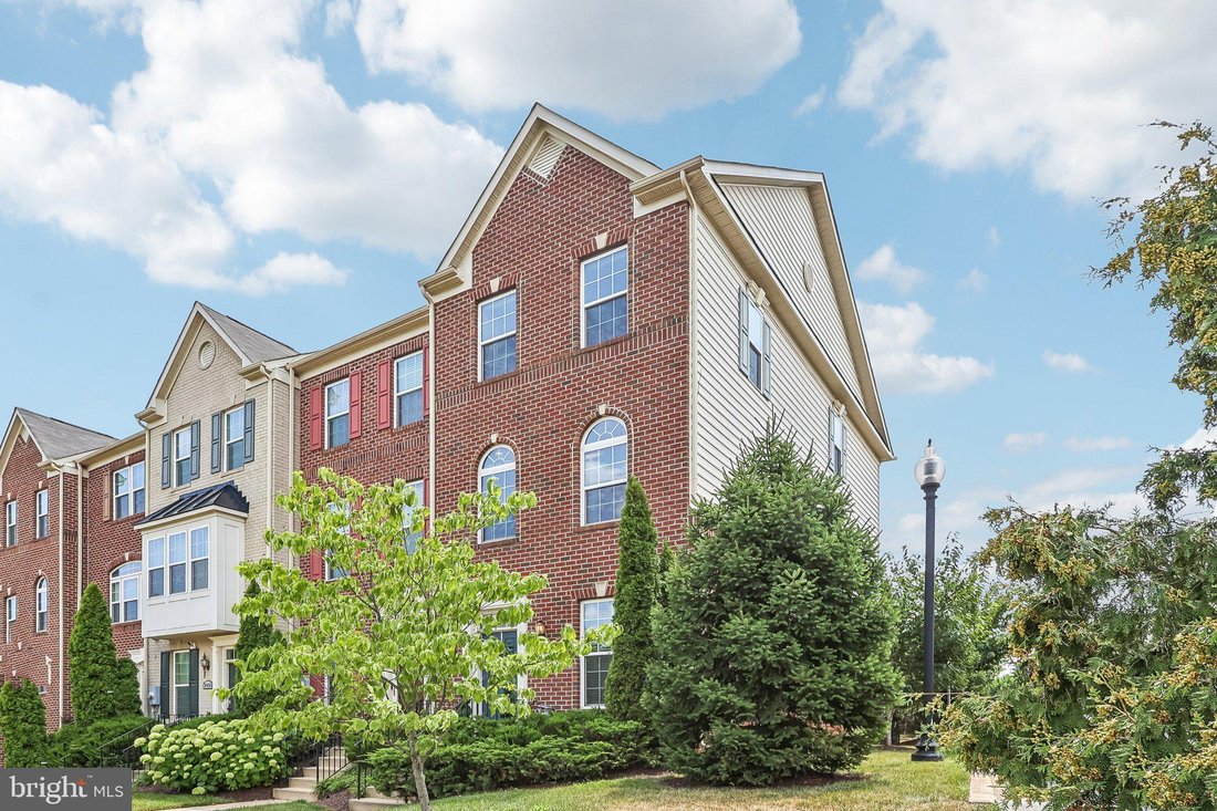 House in Washington, District of Columbia, United States 3 - 18544545