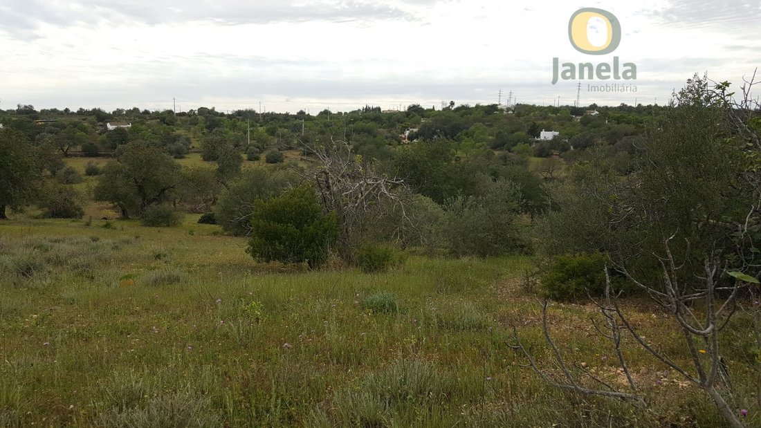 Land in Faro (Se e Sao Pedro), Algarve, Portugal 1 - 18543900