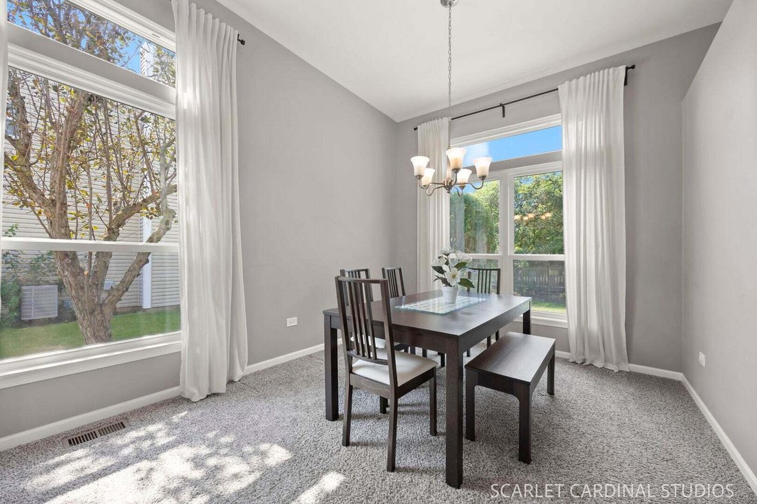 House in Bolingbrook, Illinois, United States 4 - 18543066
