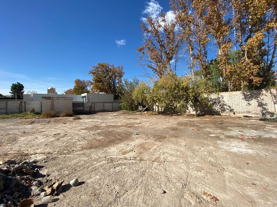 Land in Rivadavia, San Juan Province, Argentina 3 - 18540614
